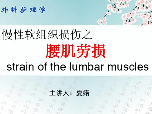 腰肌劳损外科护理学 ppt课件