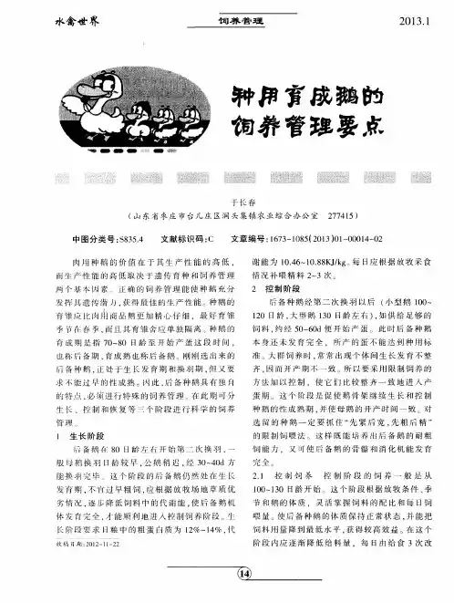种用育成鹅的饲养管理要点