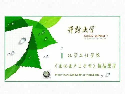 四章淀粉制糖工艺教学内容