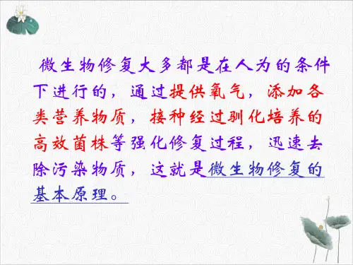污染生态修复微生物技术PPT.