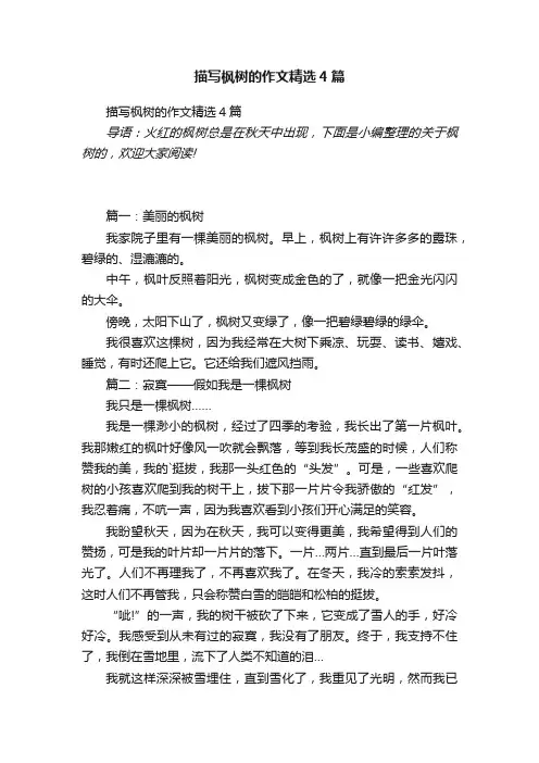 描写枫树的作文精选4篇