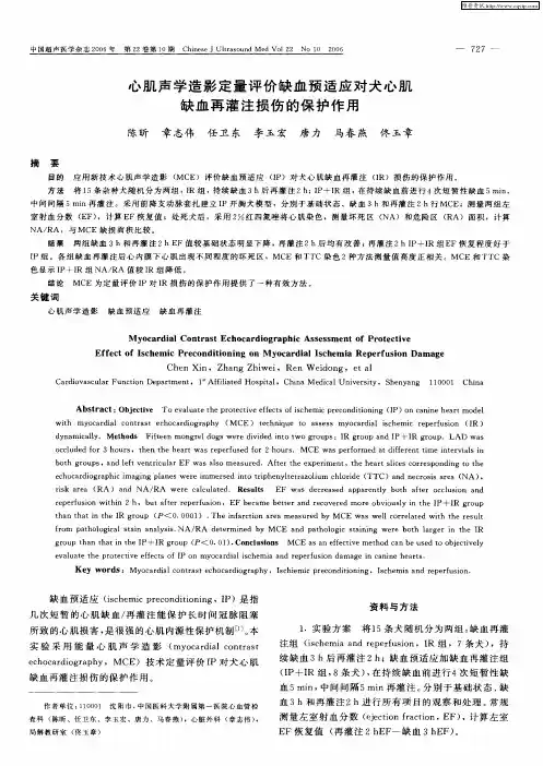 心肌声学造影定量评价缺血预适应对犬心肌缺血再灌注损伤的保护作用
