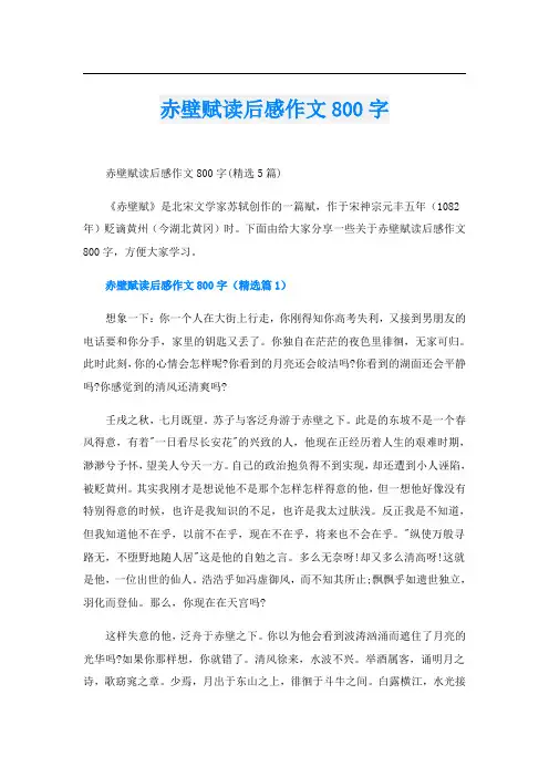 赤壁赋读后感作文800字