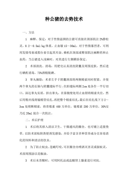 种公猪去势技术