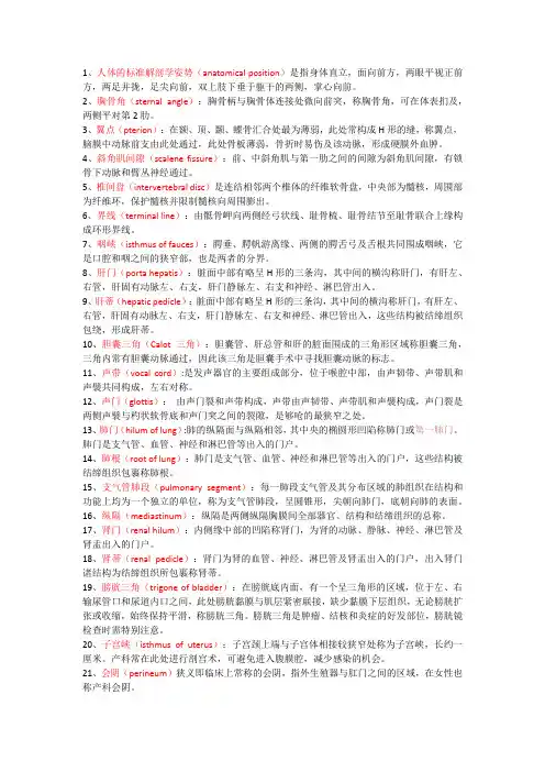 系解名词解释