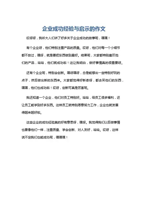企业成功经验与启示的作文