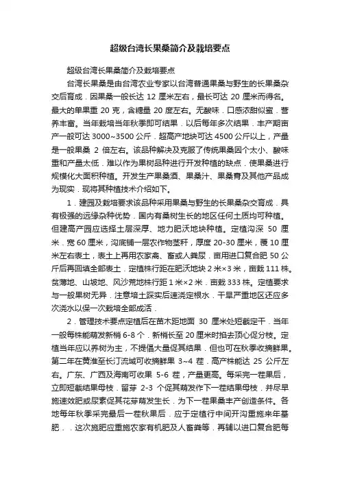 超级台湾长果桑简介及栽培要点