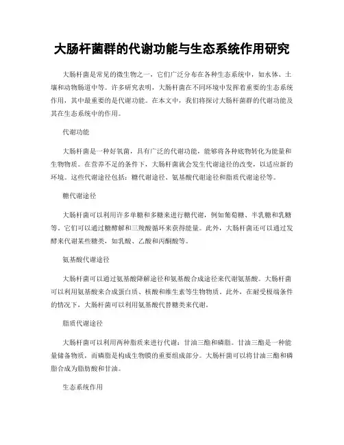 大肠杆菌群的代谢功能与生态系统作用研究
