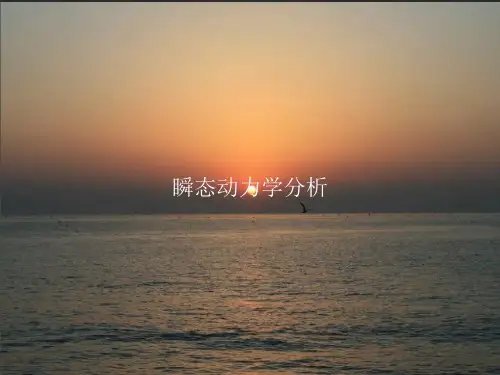 瞬态动力学分析