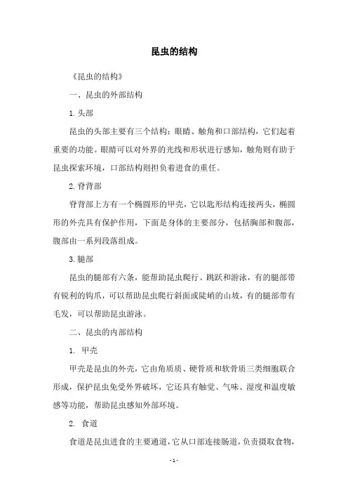 昆虫的结构