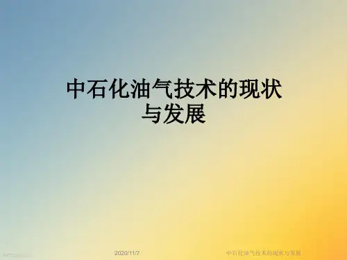 中石化油气技术的现状与发展