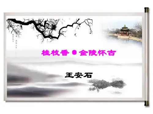 《桂枝香  金陵怀古》ppt课件(21页)