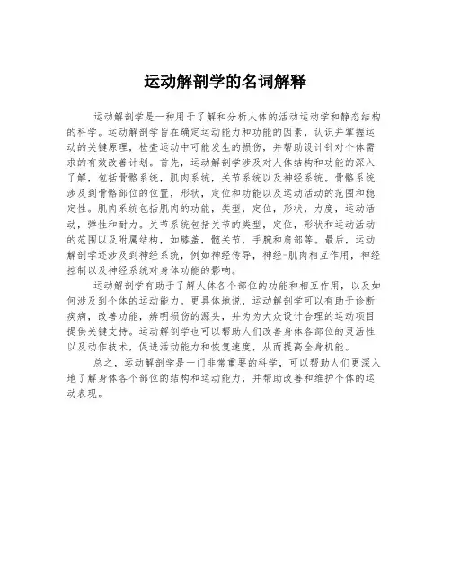 运动解剖学的名词解释