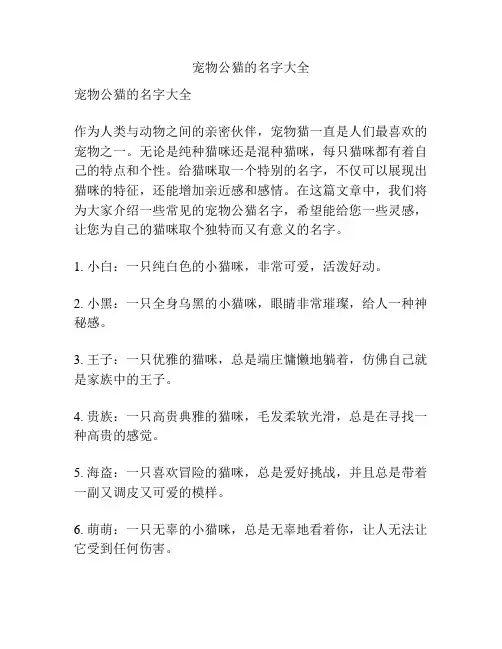 宠物公猫的名字大全