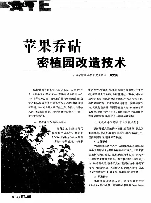 苹果乔砧密植园改造技术