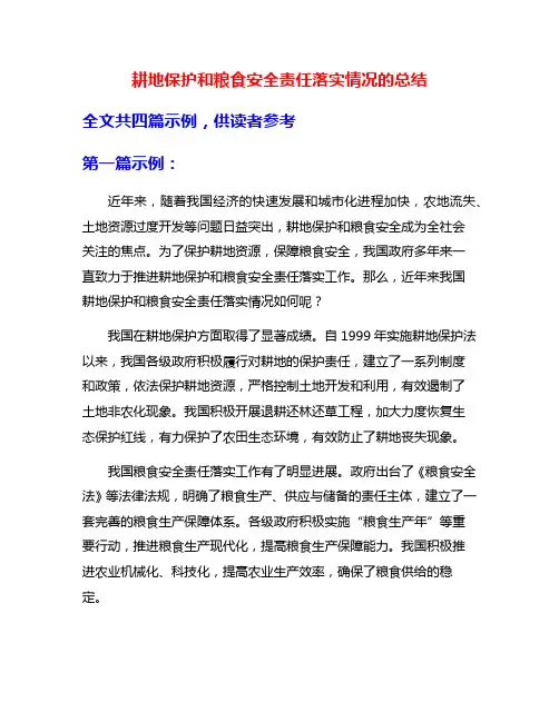 耕地保护和粮食安全责任落实情况的总结
