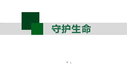 《守护生命》PPT课件