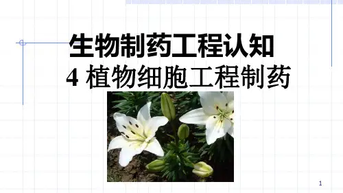 第4章  植物细胞工程制药