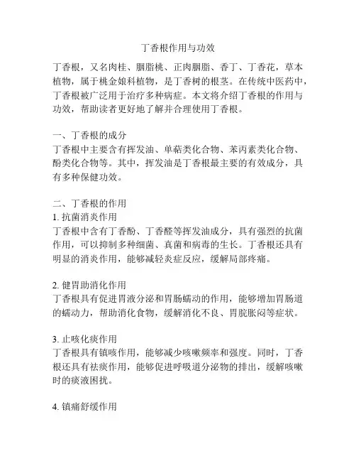 丁香根作用与功效