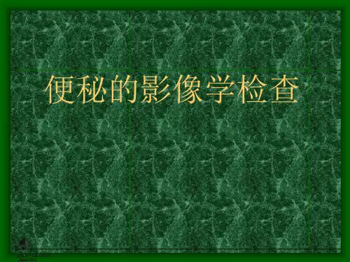 排粪造影ppt课件