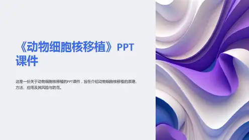 《动物细胞核移植》课件