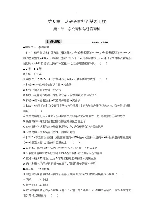 人教版生物必修2练习:第6章第1节 杂交育种与诱变育种含答案
