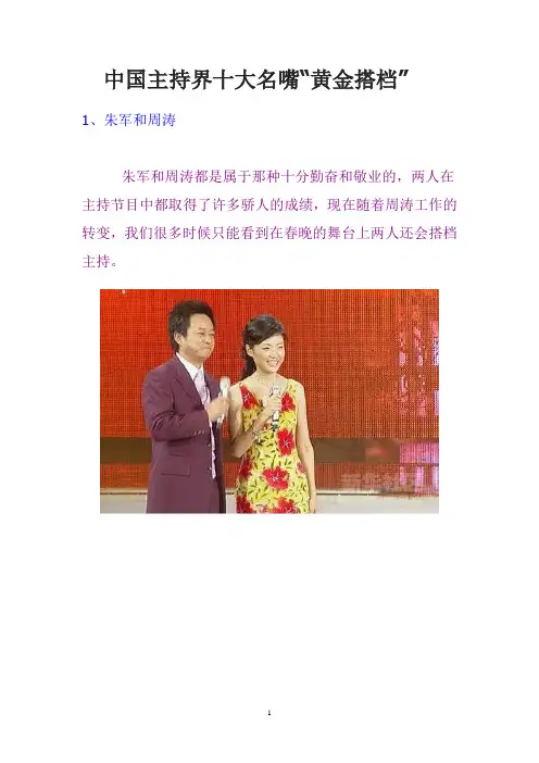 中国主持界十大“名嘴”黄金搭档