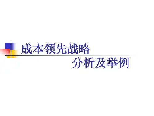 格兰仕成本领先战略