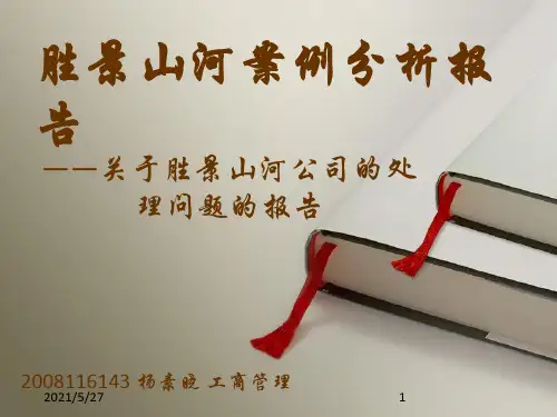 胜景山河案例分析报告