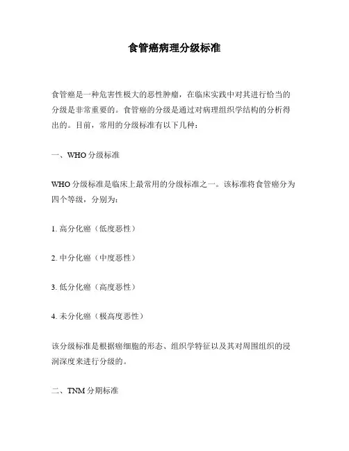 食管癌病理分级标准