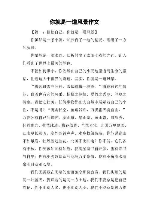 你就是一道风景作文