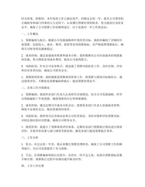预算经理总结范文