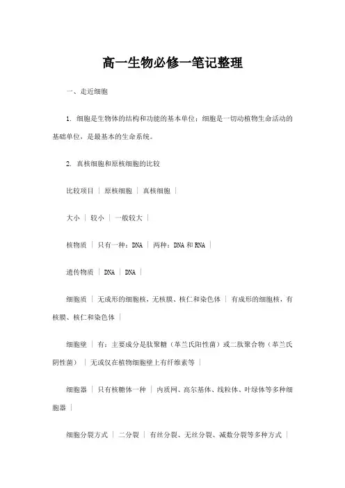 高一生物必修一笔记整理