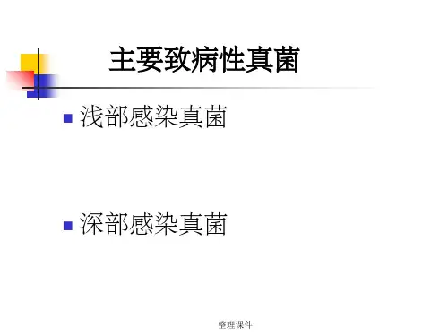 浅部感染真菌深部感染真菌课件