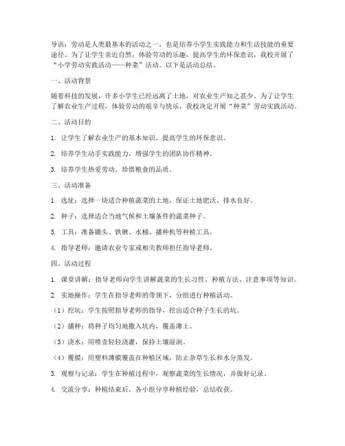 小学劳动实践活动种菜