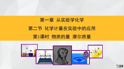 课件10：1.2.1 物质的量 摩尔质量