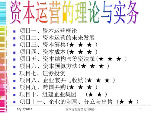 项目一-资本运营理论与实务ppt课件