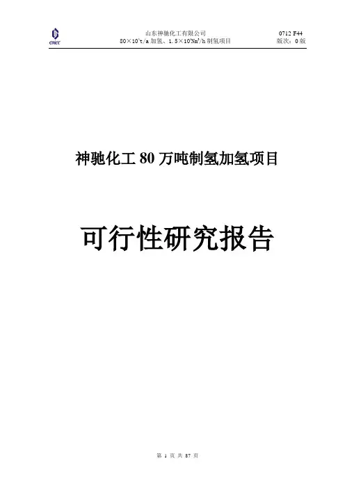 神驰化工80万吨制氢加氢项目可行性研究报告书