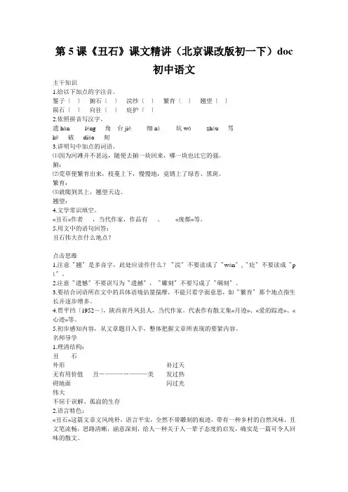 第5课《丑石》课文精讲(北京课改版初一下)doc初中语文