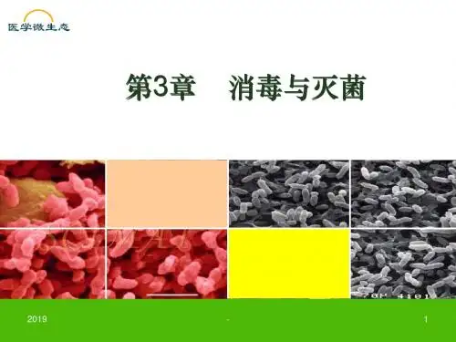 第章消毒灭菌与病原微生物试验室生物安全ppt课件