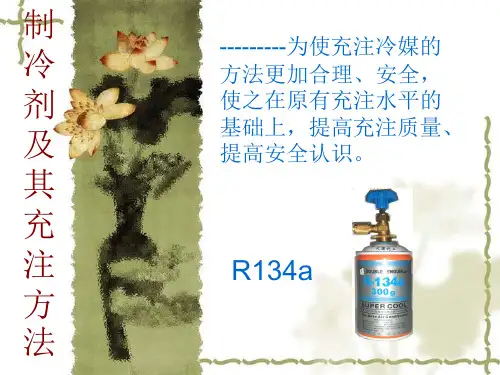 制冷剂及其充注方法(培训)