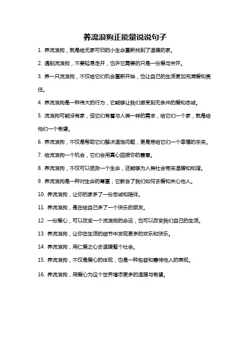 养流浪狗正能量说说句子