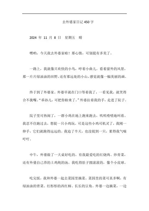 去外婆家日记450字