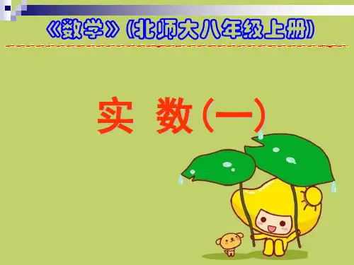 《实数》5精品 课件 