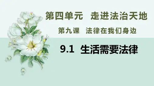 9-1生活需要法律(课件 素材)-2022-2023学年七年级道德与法治下册同步精品课堂(部编版)