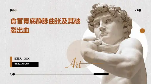 食管胃底静脉曲张及其破裂出血演示课件