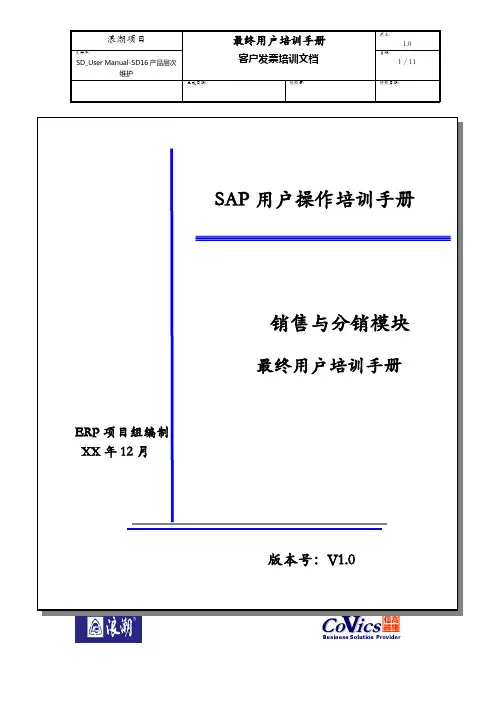 489浪潮ERP-SAP实施项目全套资料_培训资料_销售管理SD_SD_User Manual-SD1617客户发票