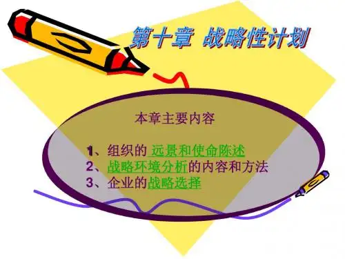 第十章战略性计划