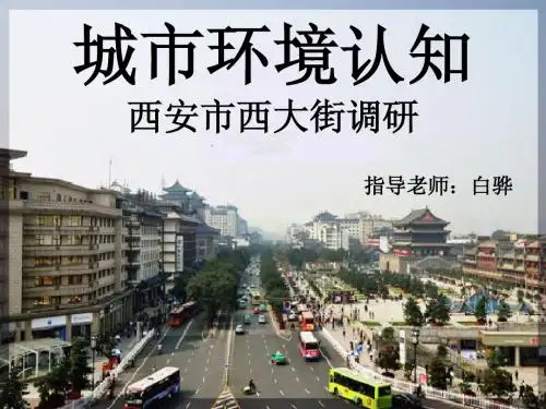西安西大街调研汇报