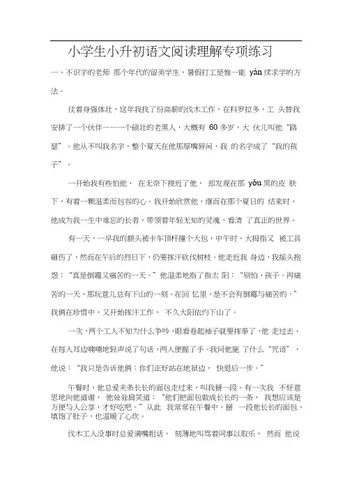 2020年小学生小升初语文阅读理解专项训练(辅导班培训练习资料)